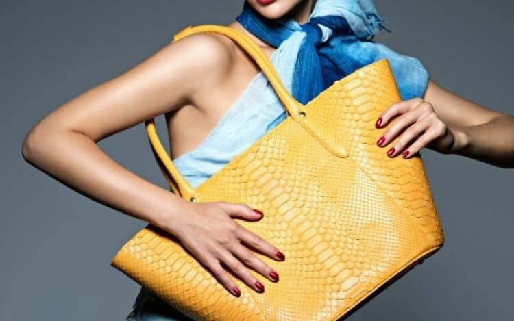 Top 9 Designer Handbag Brands for Fashionistas Luxury Shopping in the USA